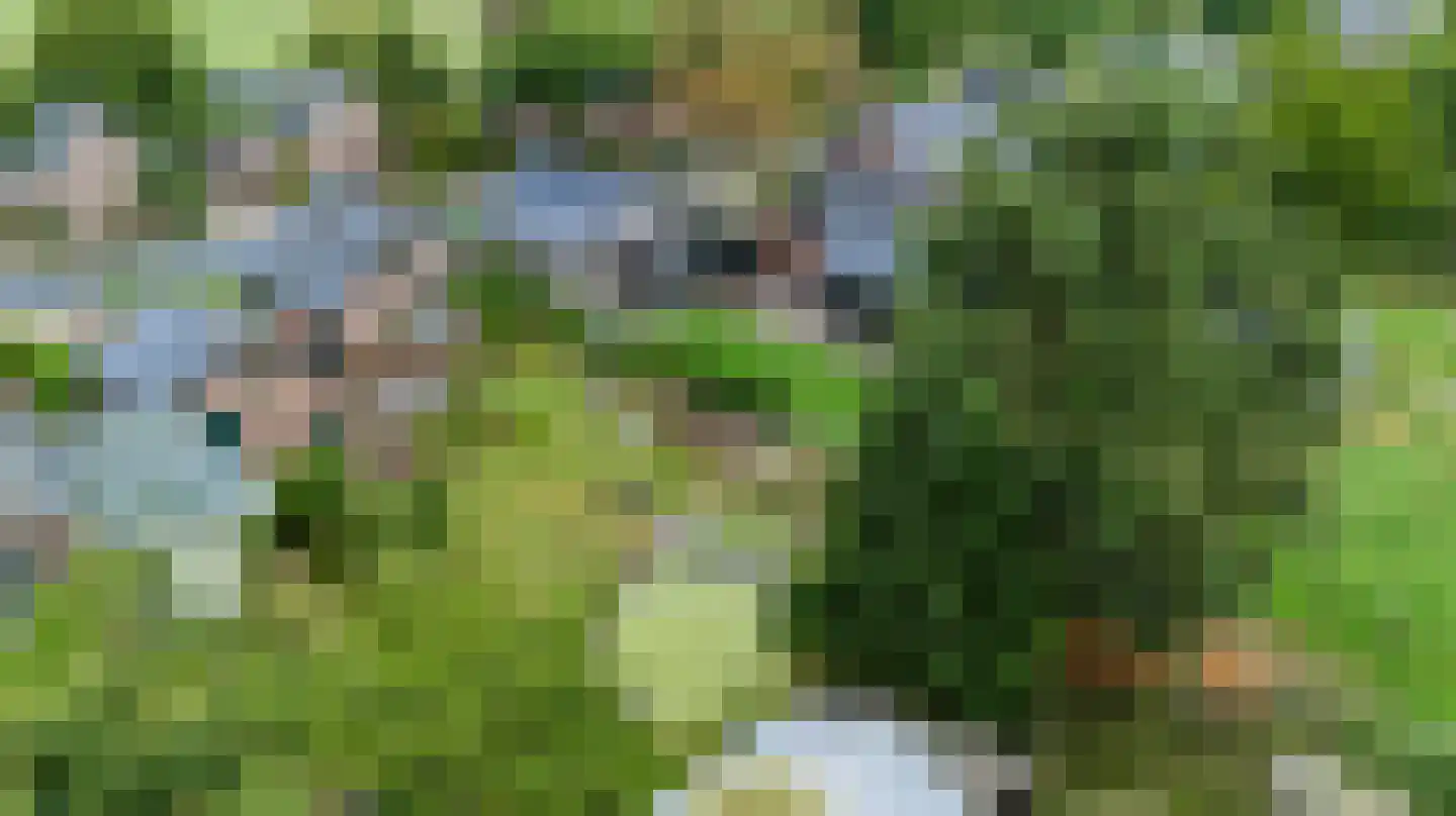 Hoofdweg 160 Loenen thumbnail 48