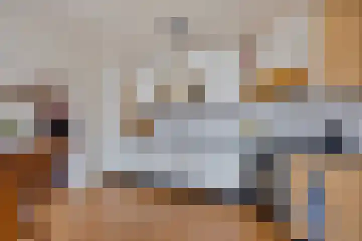 Hoofdweg 161 Bovensmilde thumbnail 7