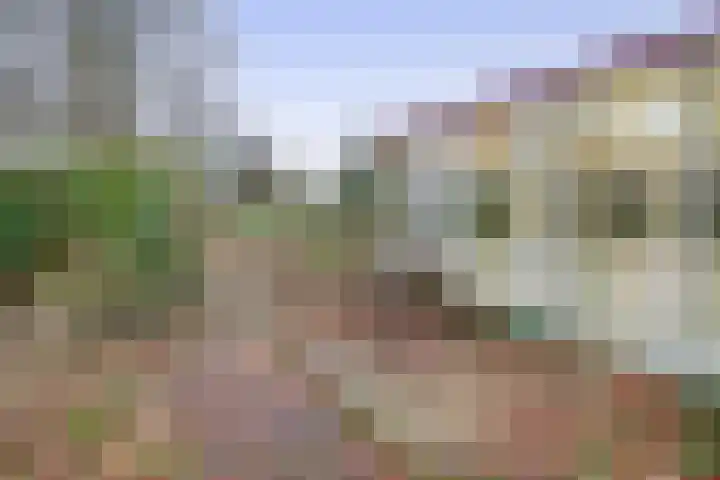 Hoofdweg 164 Midwolda thumbnail 33