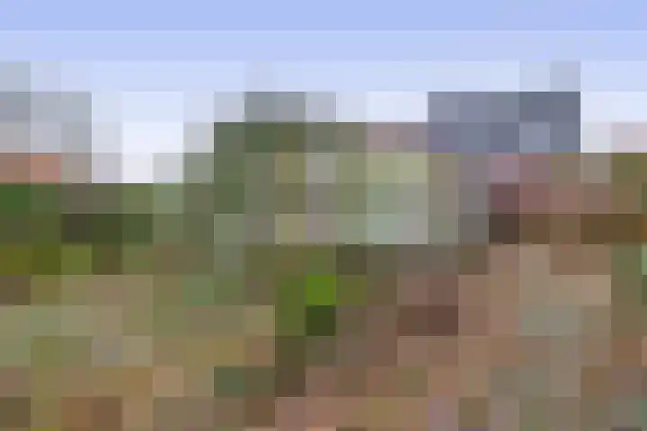Hoofdweg 164 Midwolda thumbnail 34