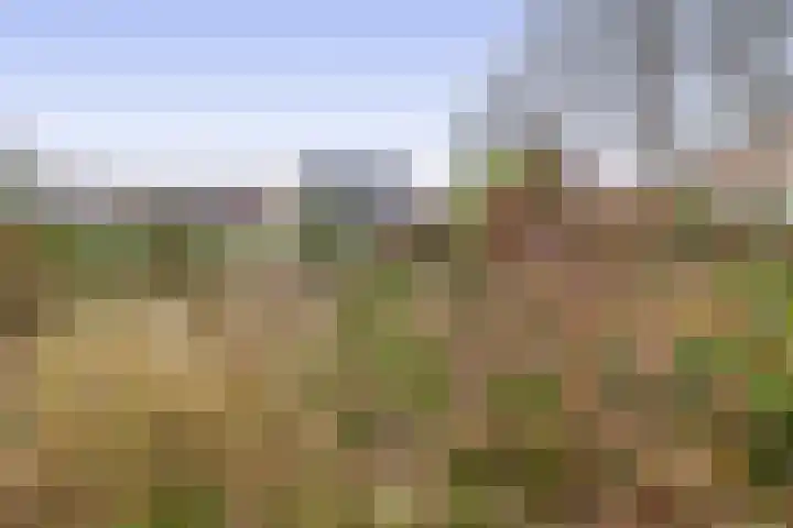 Hoofdweg 164 Midwolda thumbnail 35