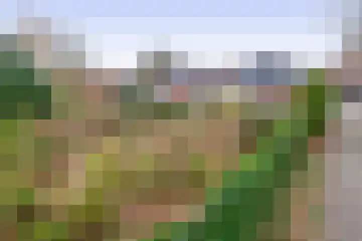Hoofdweg 164 Midwolda thumbnail 36
