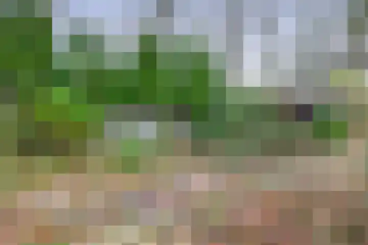 Hoofdweg 164 Midwolda thumbnail 37