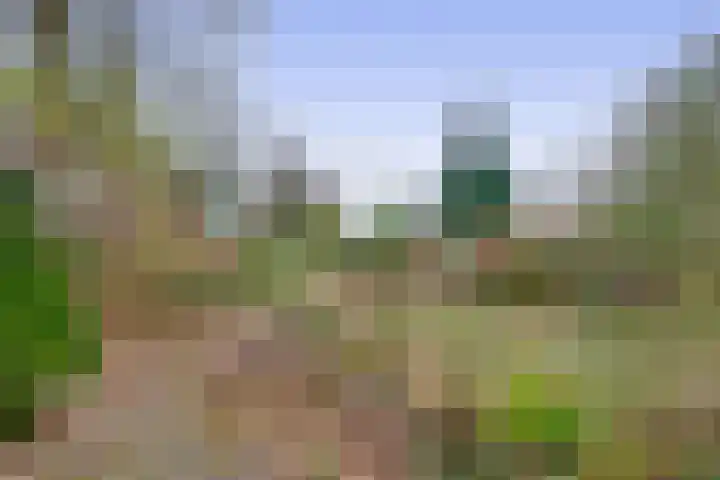 Hoofdweg 164 Midwolda thumbnail 38