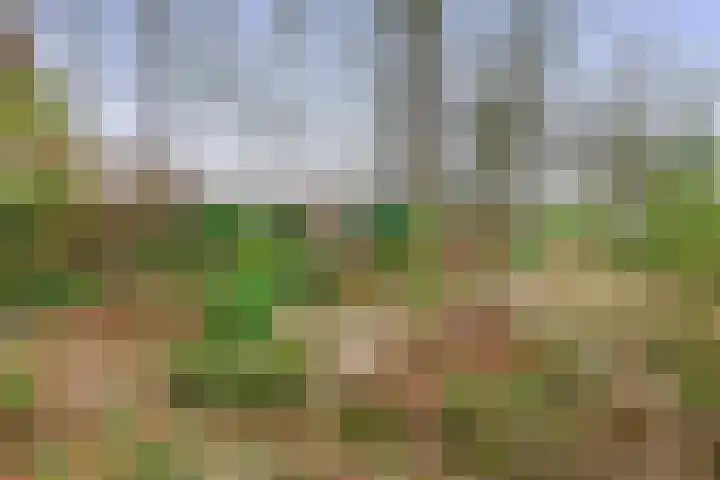 Hoofdweg 164 Midwolda thumbnail 39