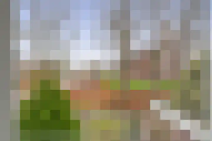 Hoofdweg 164 Midwolda thumbnail 45