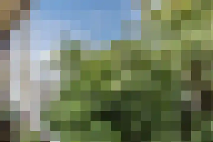 Hoofdweg 168 2 Amsterdam thumbnail 21