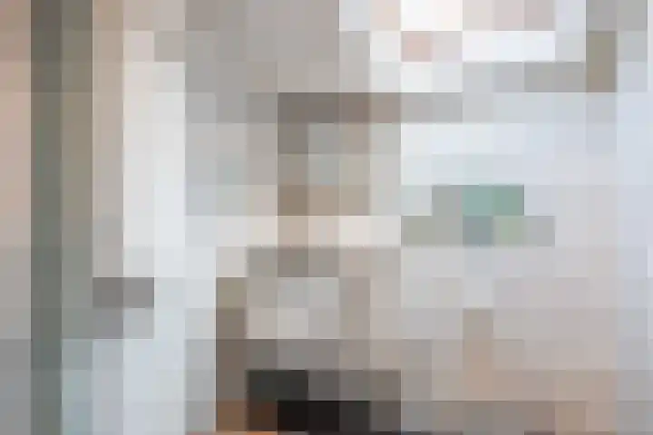 Hoofdweg 17 Zuurdijk thumbnail 32