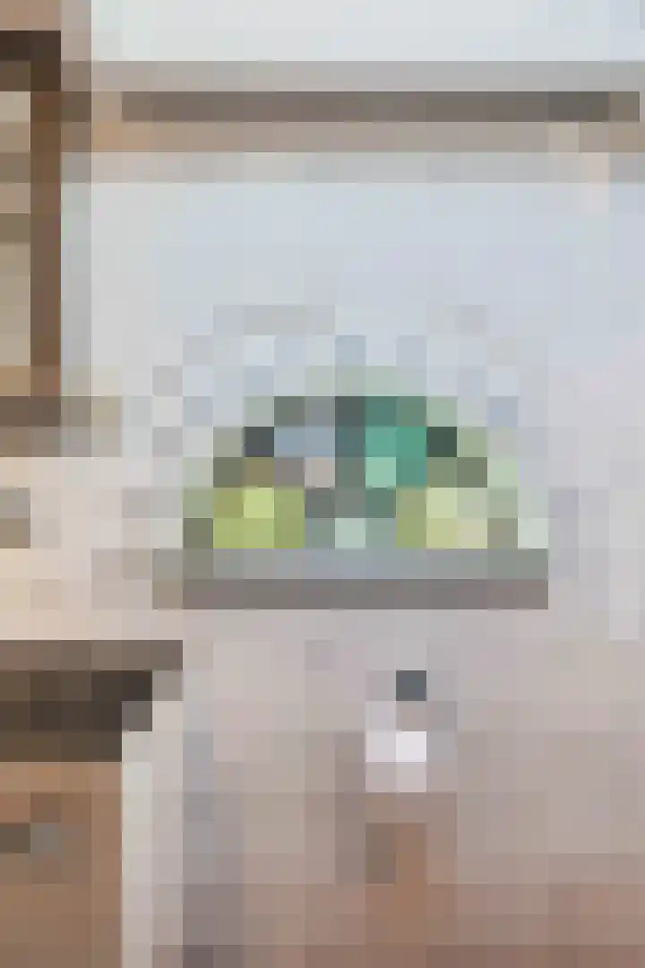 Hoofdweg 17 Zuurdijk thumbnail 34