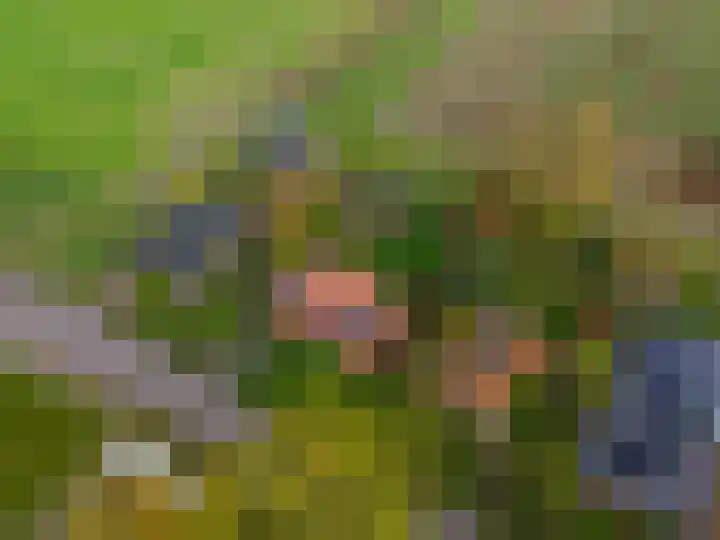 Hoofdweg 17 Zuurdijk thumbnail 4