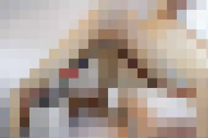 Hoofdweg 17 Zuurdijk thumbnail 43