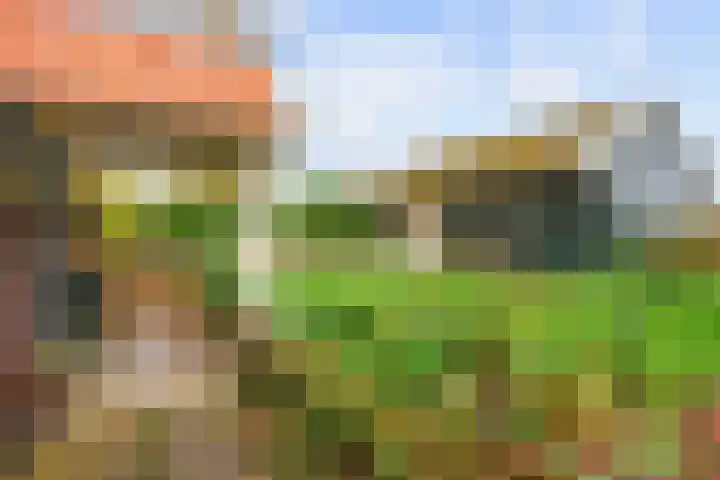 Hoofdweg 17 Zuurdijk thumbnail 48
