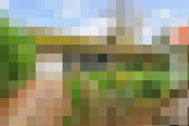 Hoofdweg 17 Zuurdijk thumbnail 49