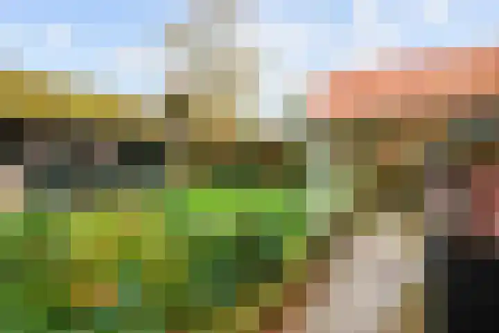 Hoofdweg 17 Zuurdijk thumbnail 57