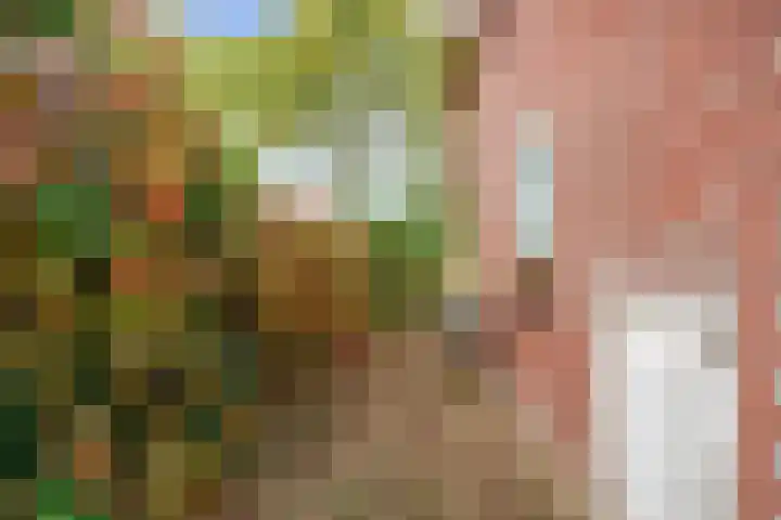 Hoofdweg 17 Zuurdijk thumbnail 58