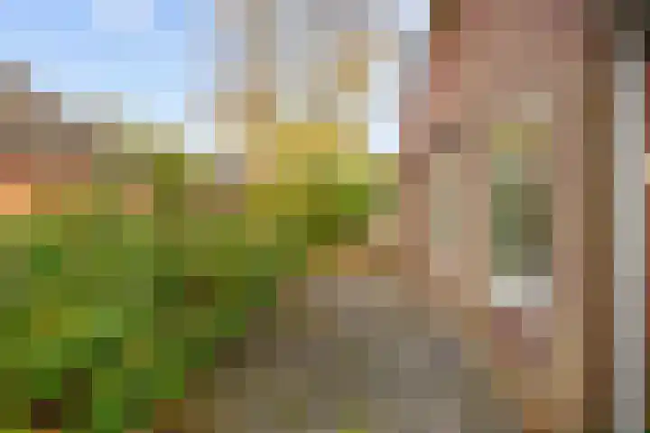 Hoofdweg 17 Zuurdijk thumbnail 59