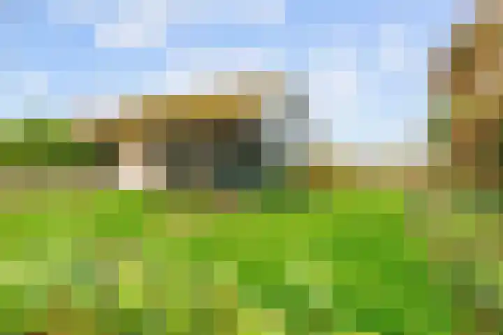 Hoofdweg 17 Zuurdijk thumbnail 66