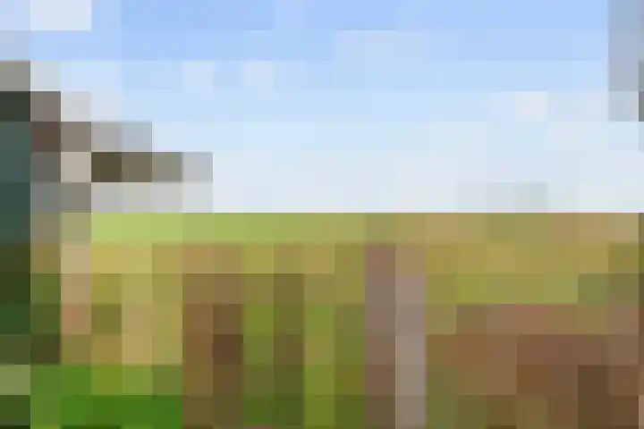 Hoofdweg 17 Zuurdijk thumbnail 67