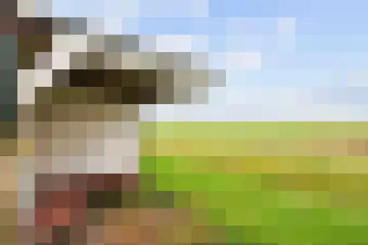 Hoofdweg 17 Zuurdijk thumbnail 68