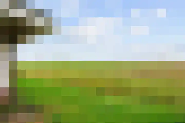 Hoofdweg 17 Zuurdijk thumbnail 69