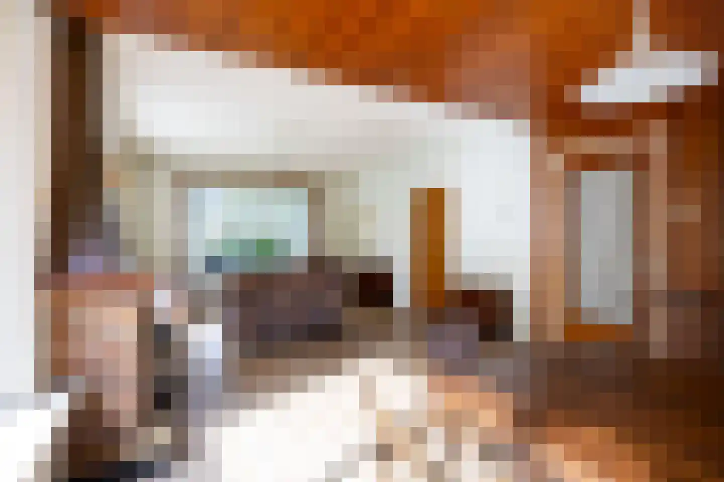 Hoofdweg 170 Bellingwolde thumbnail 19
