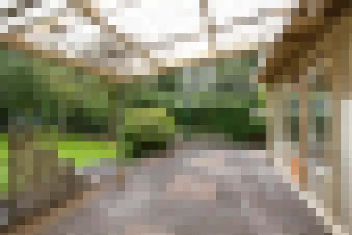 Hoofdweg 170 Bellingwolde thumbnail 42