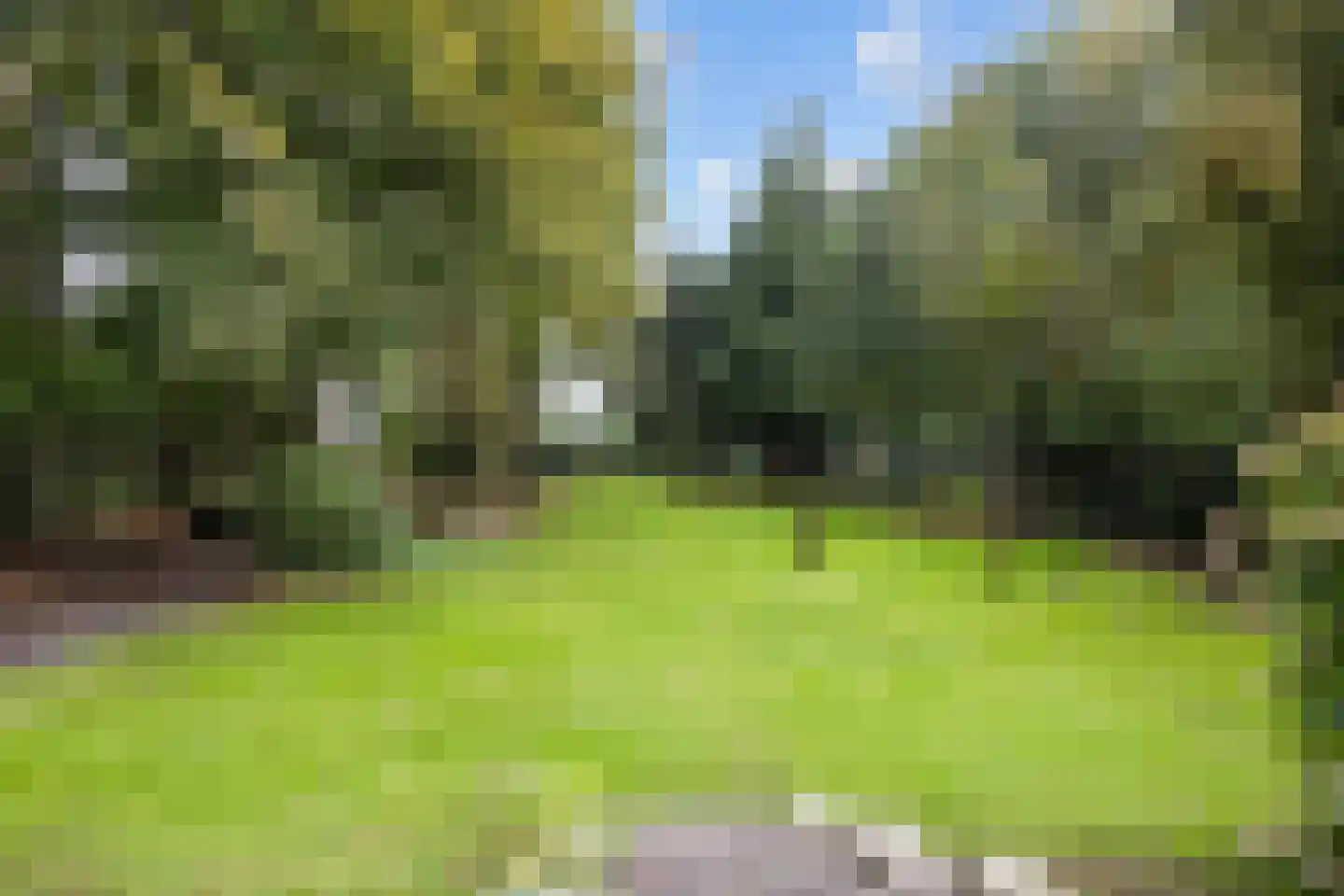 Hoofdweg 170 Bellingwolde thumbnail 43