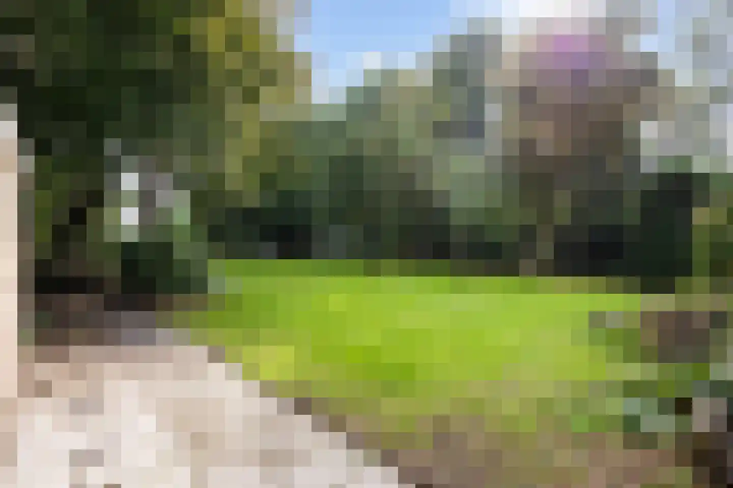 Hoofdweg 170 Bellingwolde thumbnail 44