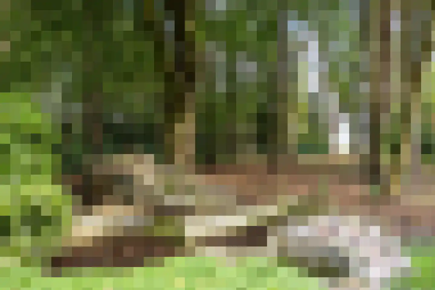 Hoofdweg 170 Bellingwolde thumbnail 45