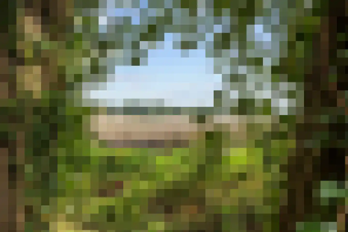 Hoofdweg 170 Bellingwolde thumbnail 46