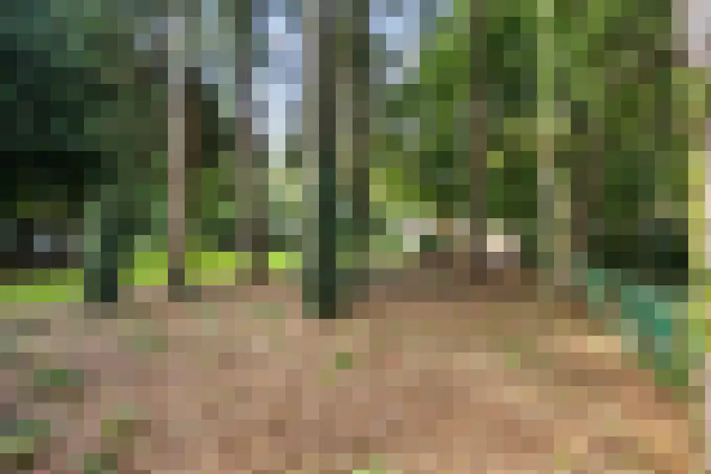 Hoofdweg 170 Bellingwolde thumbnail 47