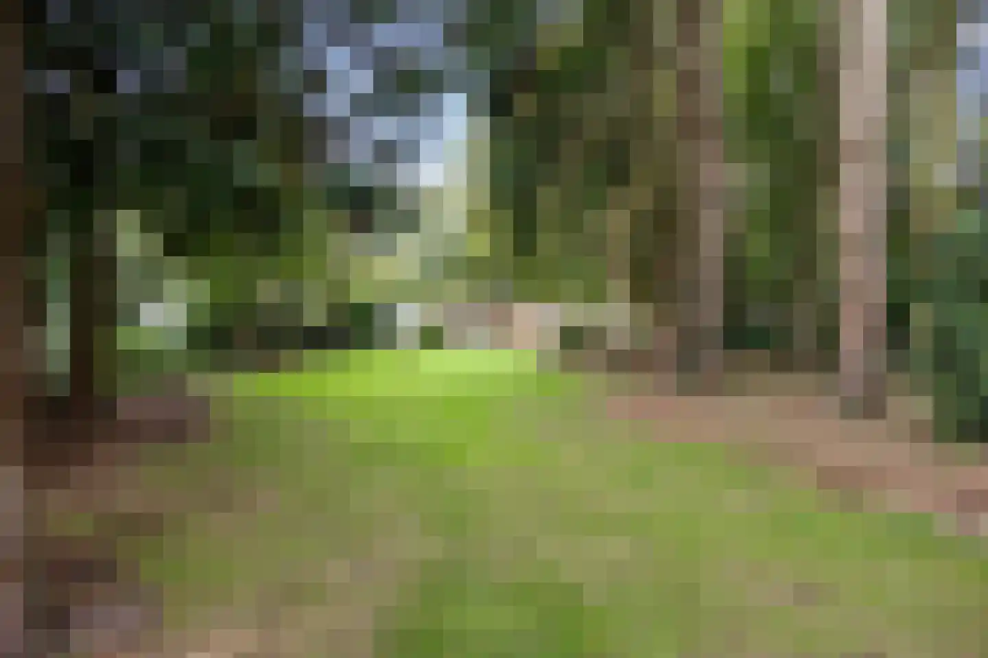 Hoofdweg 170 Bellingwolde thumbnail 48