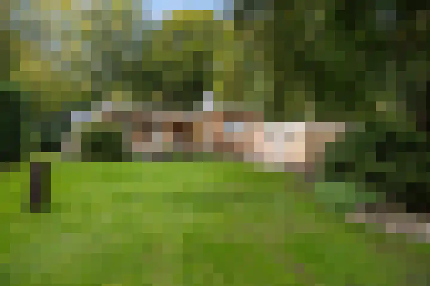 Hoofdweg 170 Bellingwolde thumbnail 49