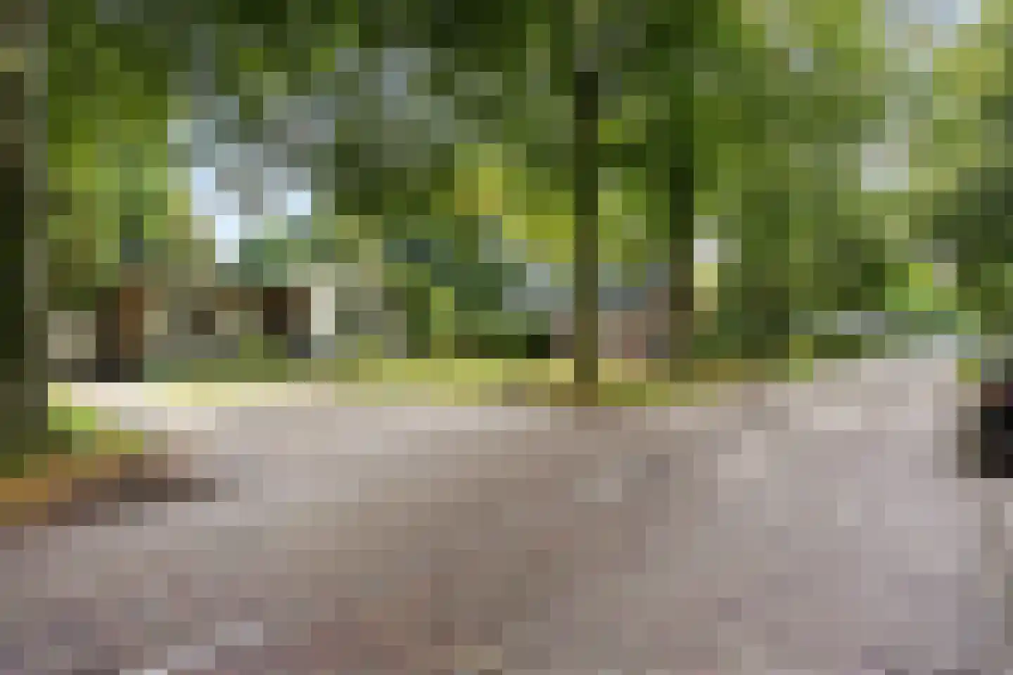 Hoofdweg 170 Bellingwolde thumbnail 5