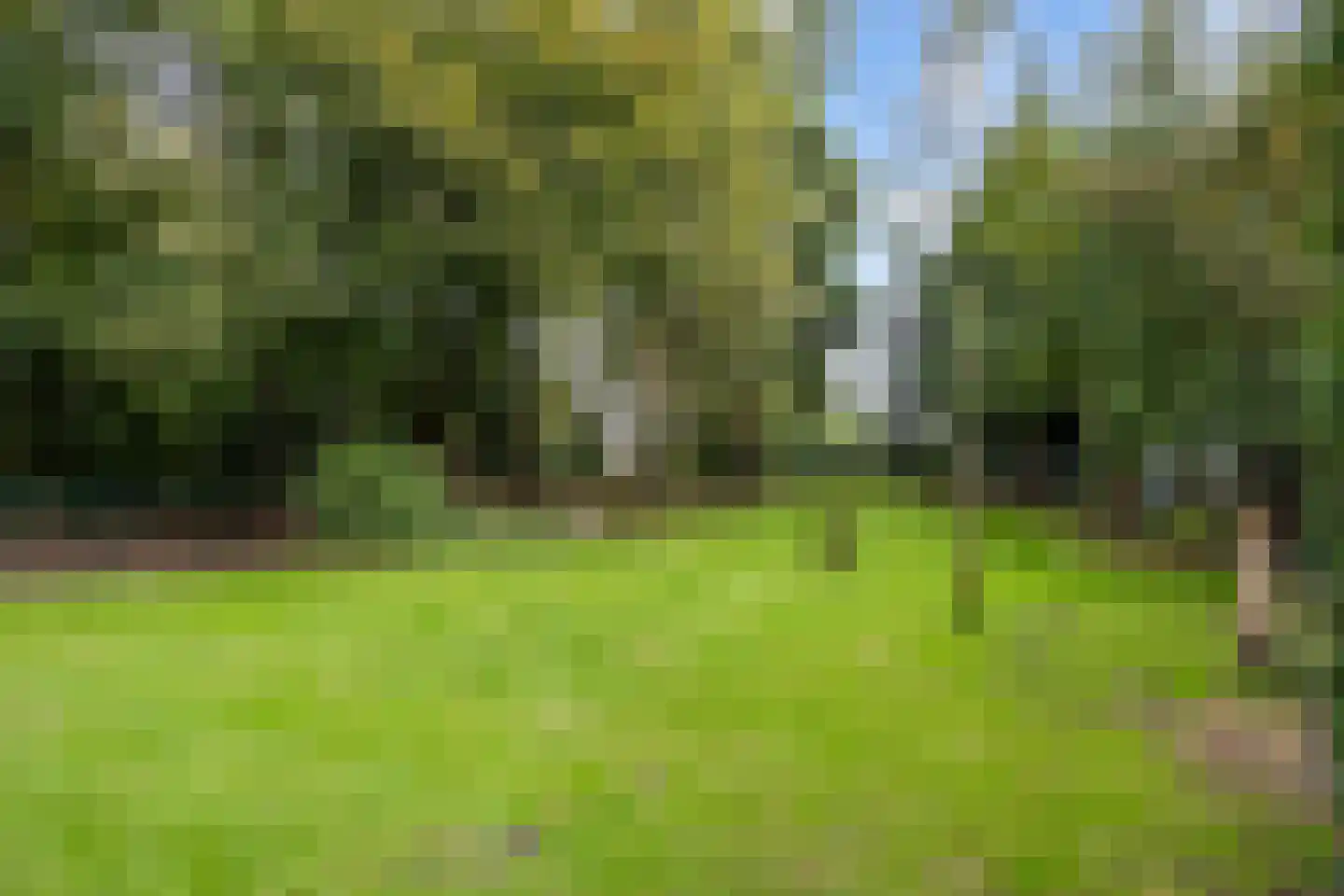 Hoofdweg 170 Bellingwolde thumbnail 50