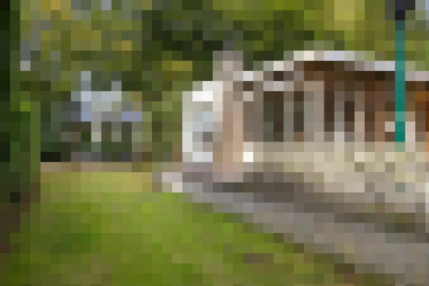 Hoofdweg 170 Bellingwolde thumbnail 51