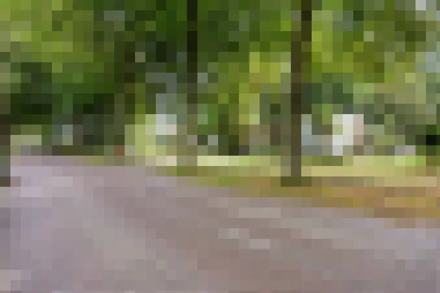 Hoofdweg 170 Bellingwolde thumbnail 7