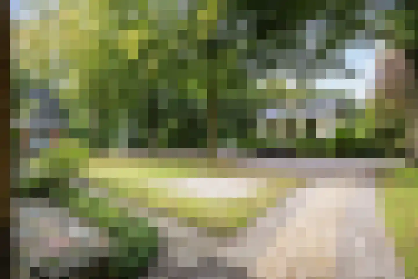 Hoofdweg 170 Bellingwolde thumbnail 8