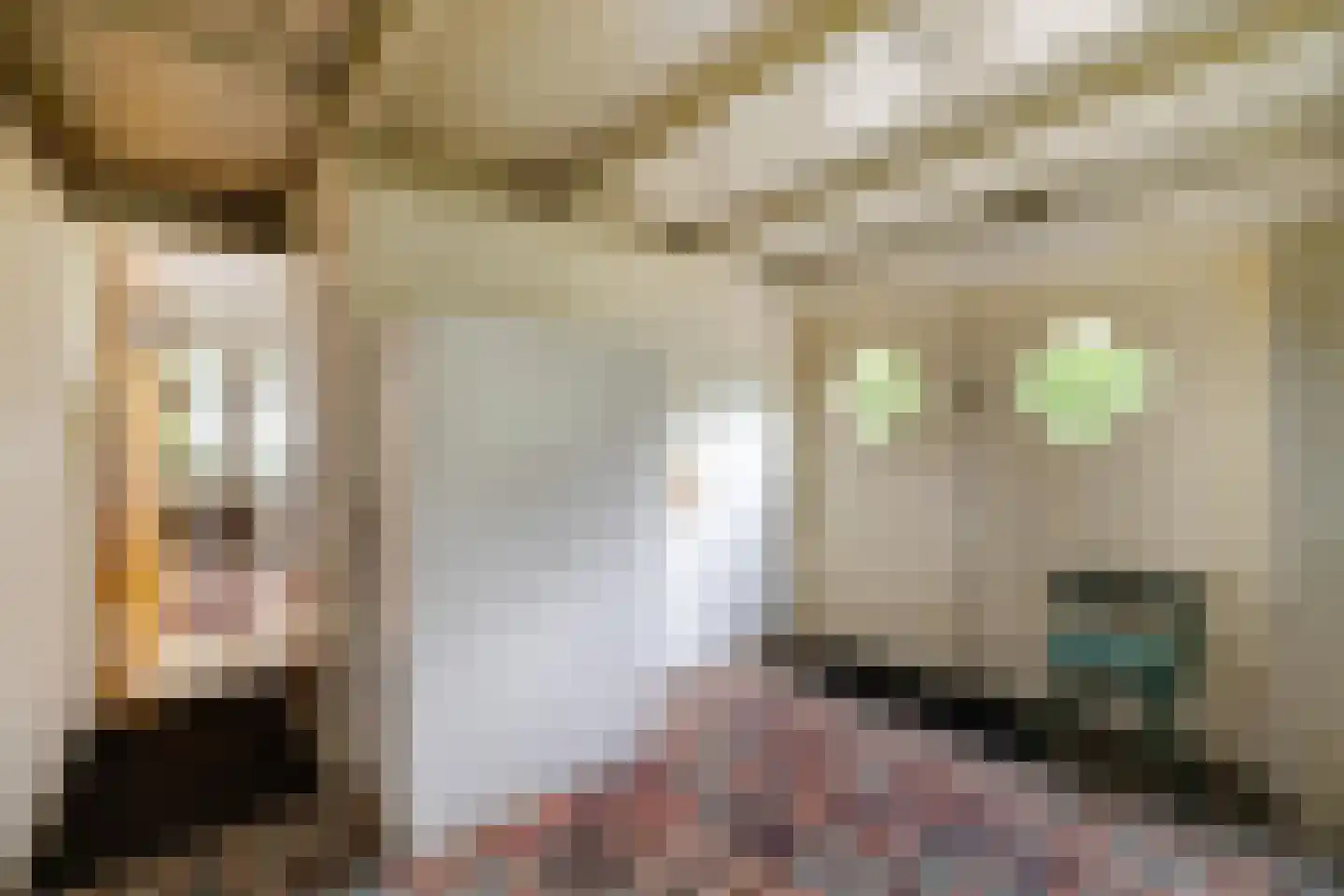 Hoofdweg 170 Paterswolde thumbnail 23