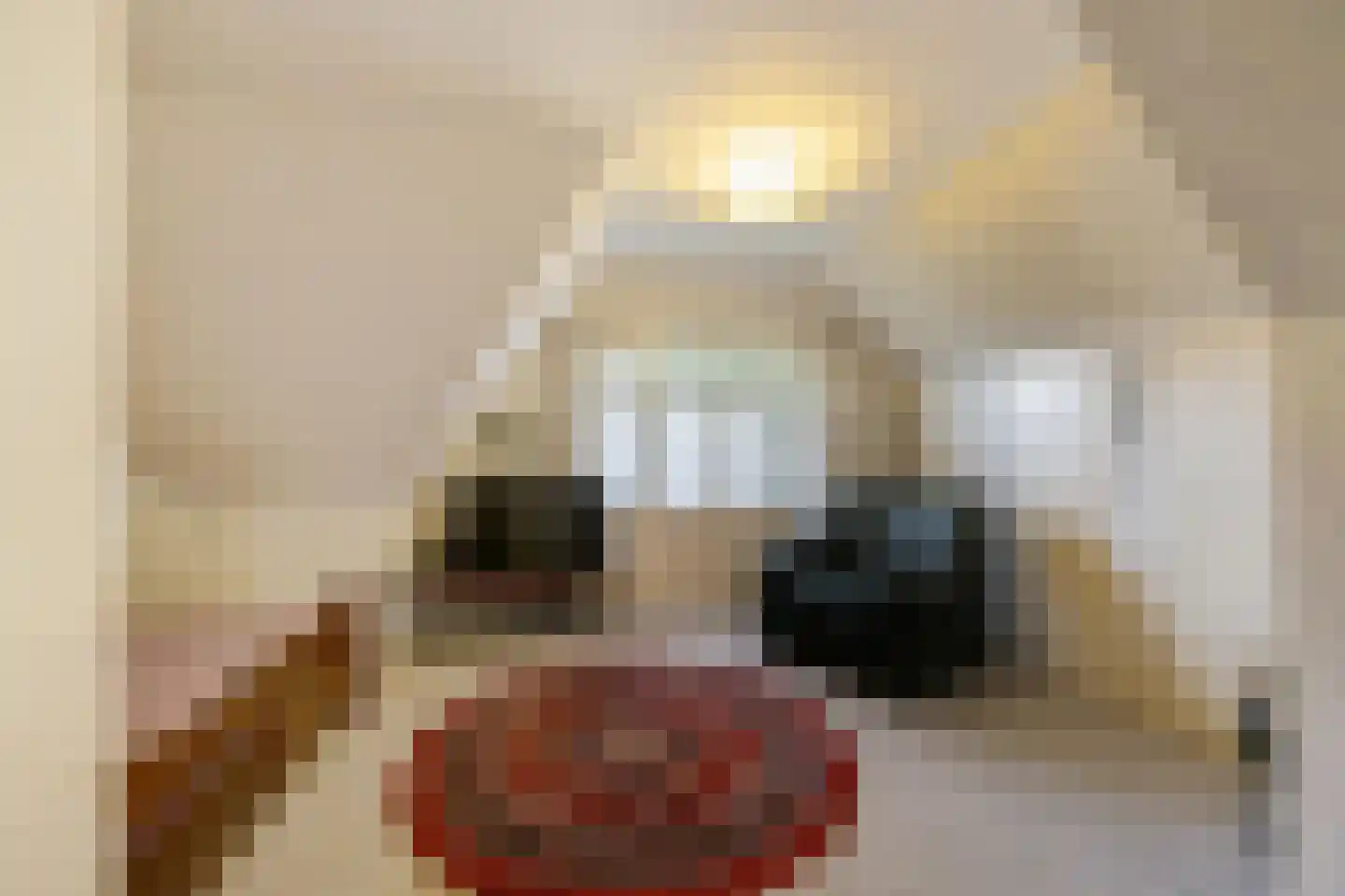 Hoofdweg 170 Paterswolde thumbnail 30