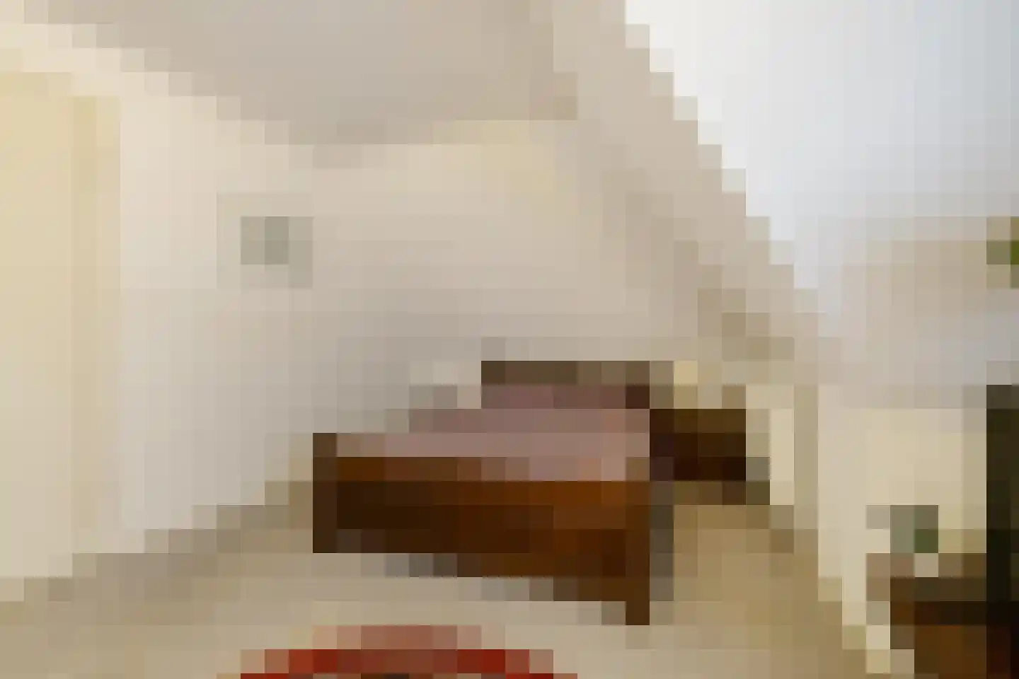Hoofdweg 170 Paterswolde thumbnail 31