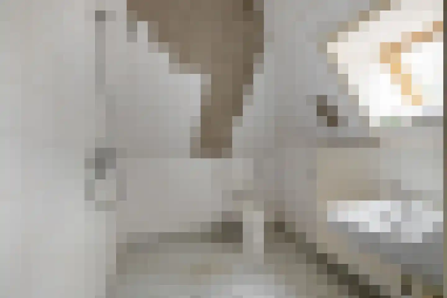 Hoofdweg 170 Paterswolde thumbnail 33