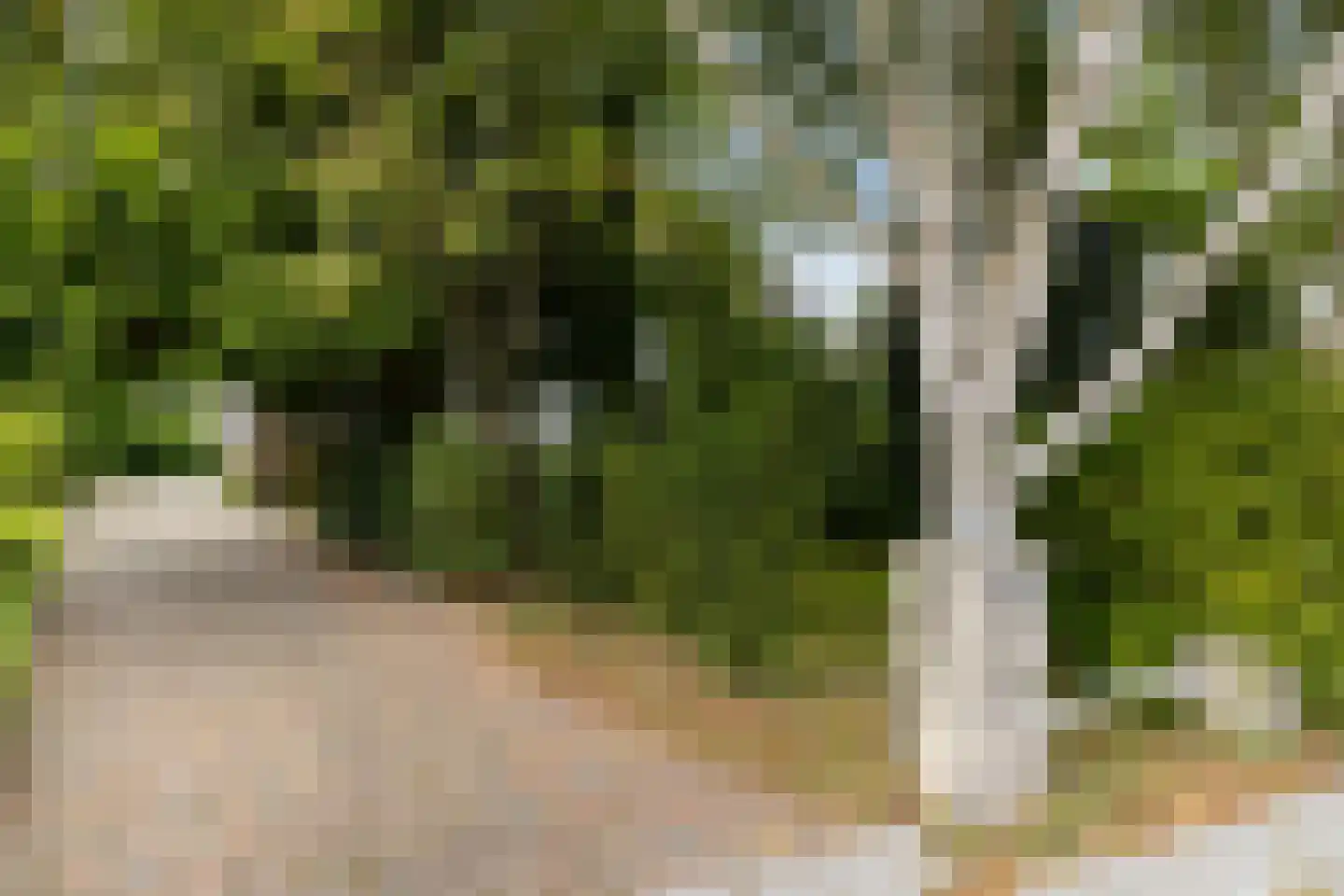 Hoofdweg 170 Paterswolde thumbnail 37