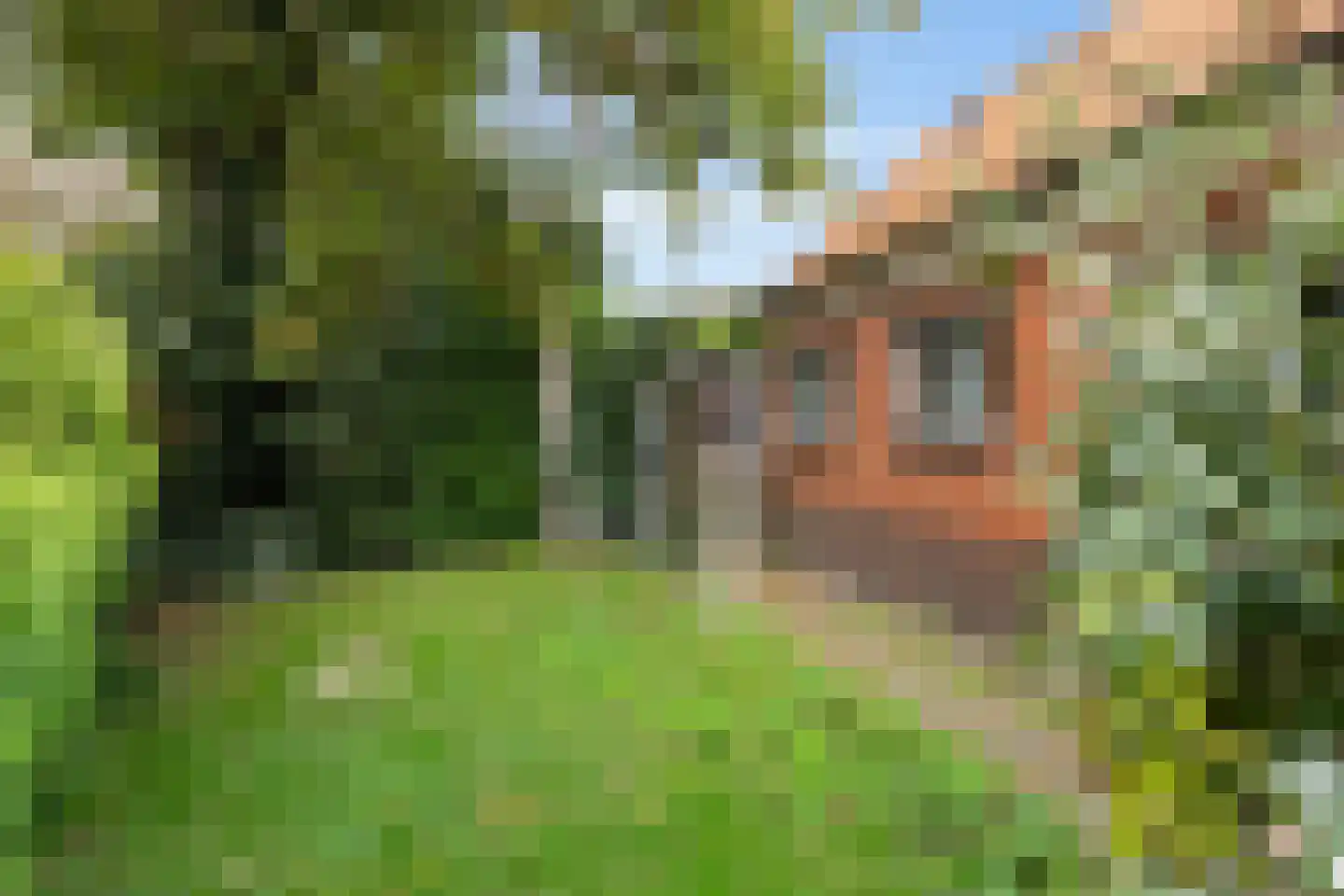 Hoofdweg 170 Paterswolde thumbnail 40