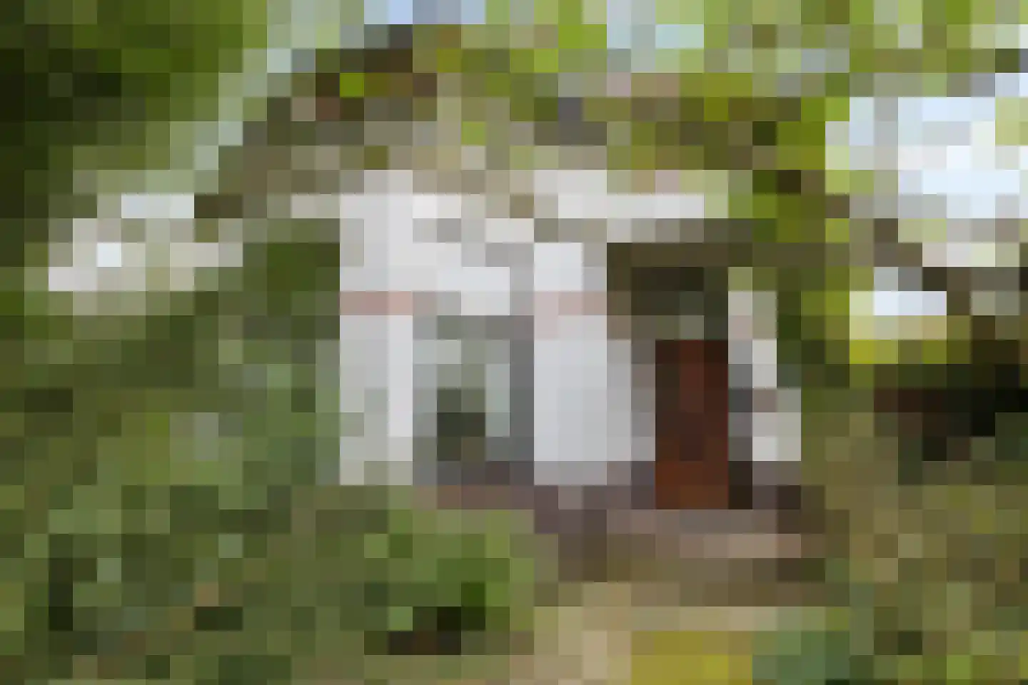 Hoofdweg 170 Paterswolde thumbnail 7