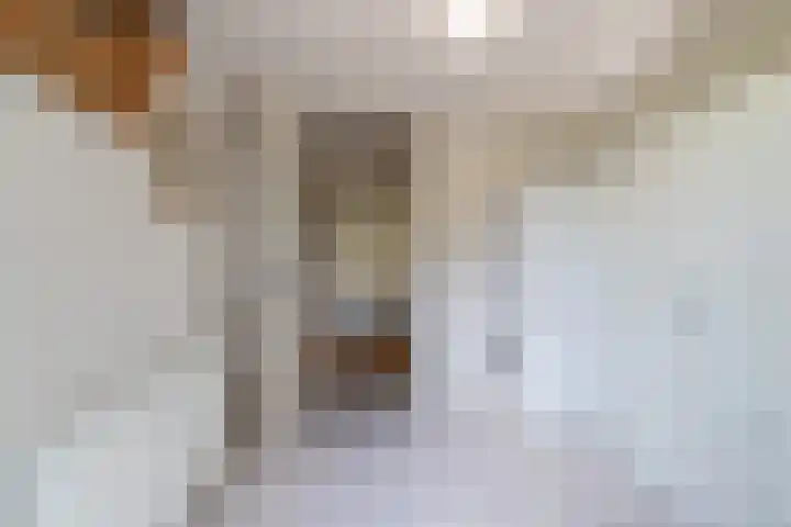 Hoofdweg 170 Westerlee thumbnail 19