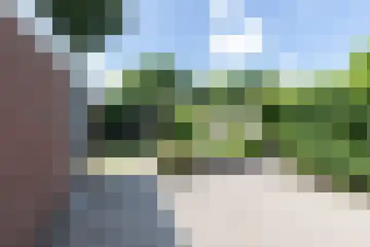 Hoofdweg 170 Westerlee thumbnail 35