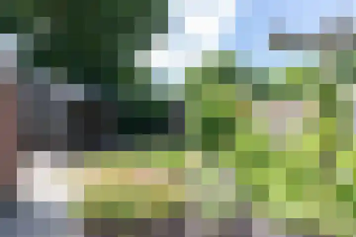 Hoofdweg 170 Westerlee thumbnail 36