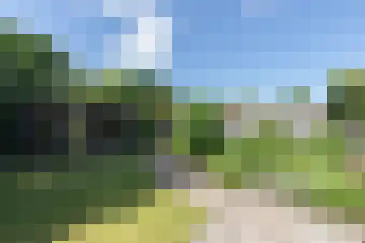 Hoofdweg 170 Westerlee thumbnail 38