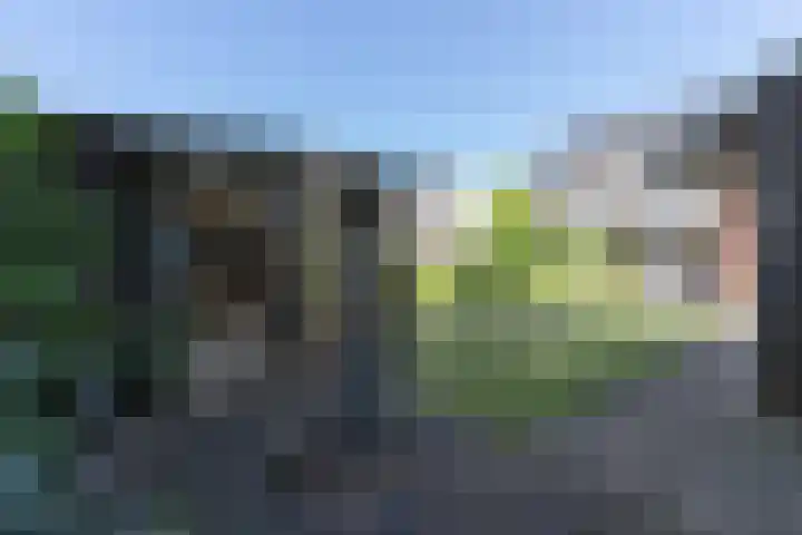 Hoofdweg 170 Westerlee thumbnail 39